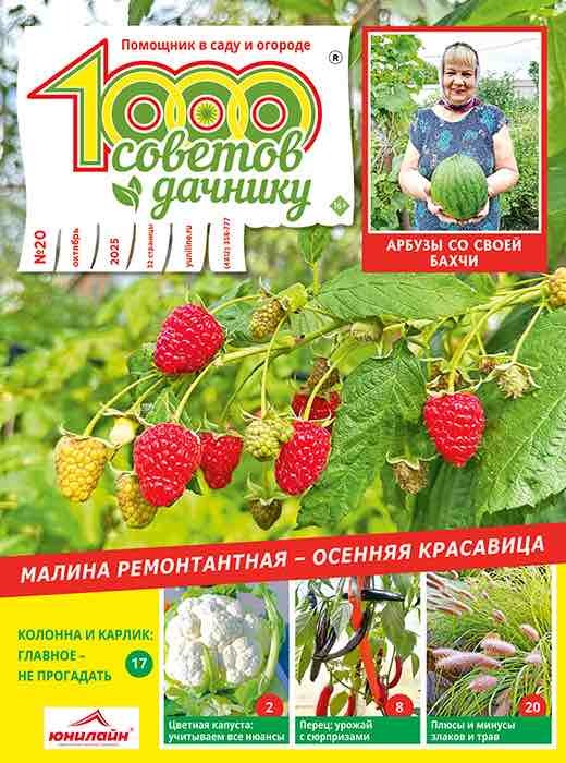 1000 sovetov dachniku