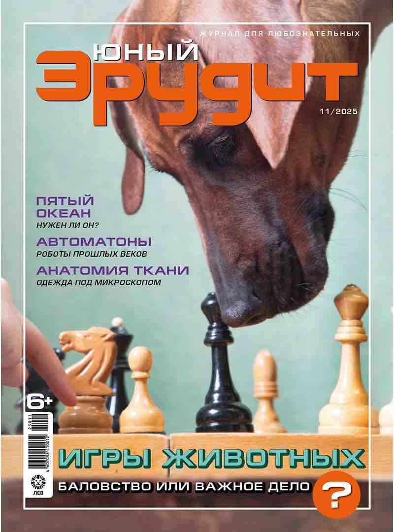 Iunyj erudit