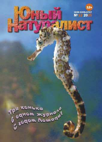Iunyj naturalist