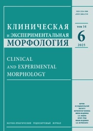 Клиническая и экспериментальная морфология