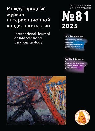 Mezhdunarodnyj zhurnal interventsionnoj kardioangiologii / International Journal of Interventional Cardioangiology