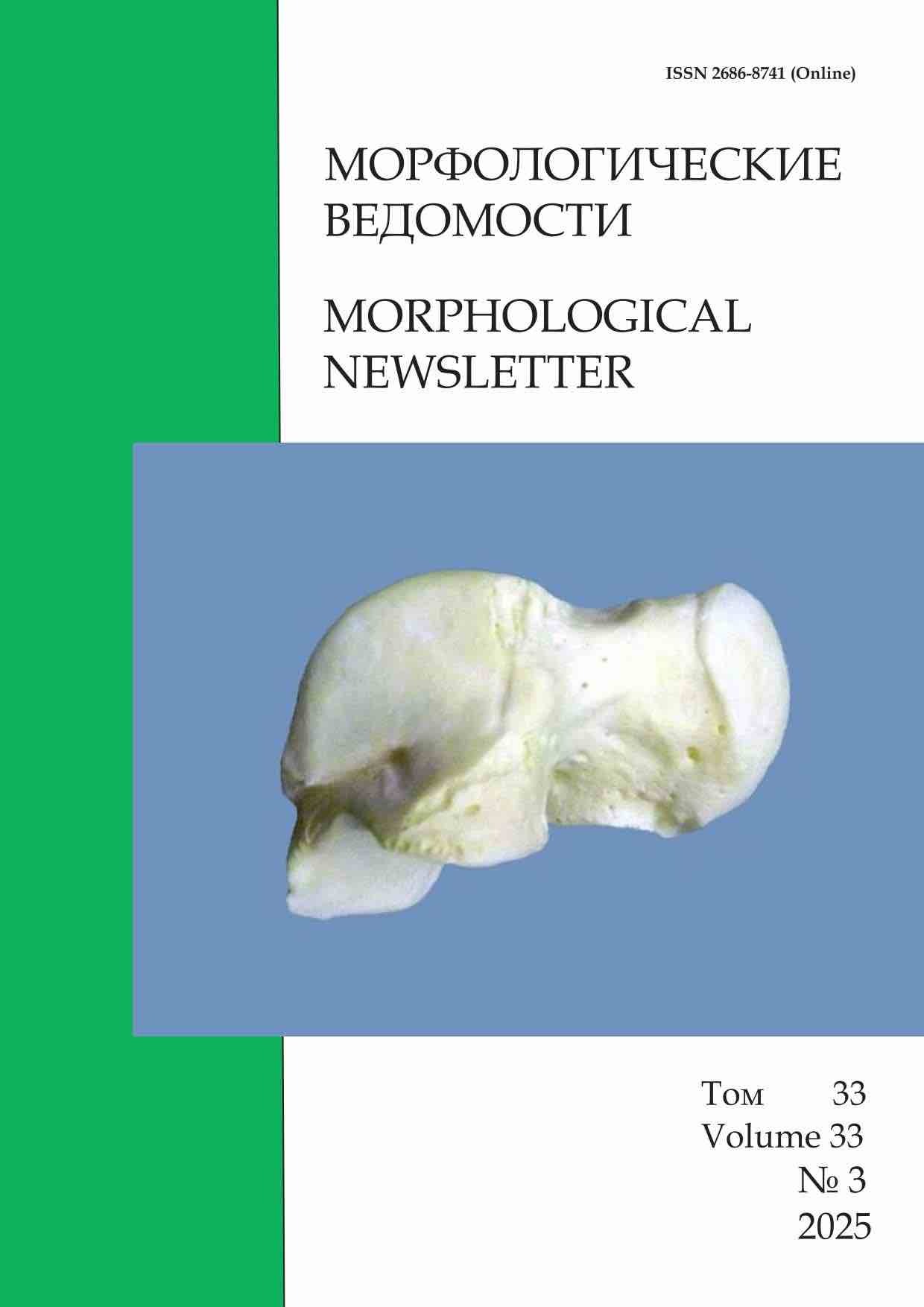 Морфологические ведомости