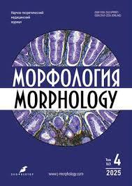 Morfologiia