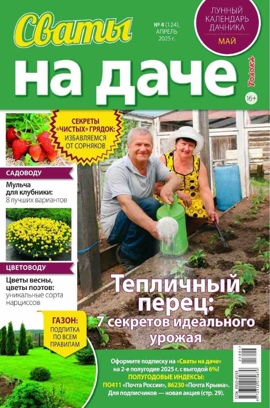 Сваты на даче