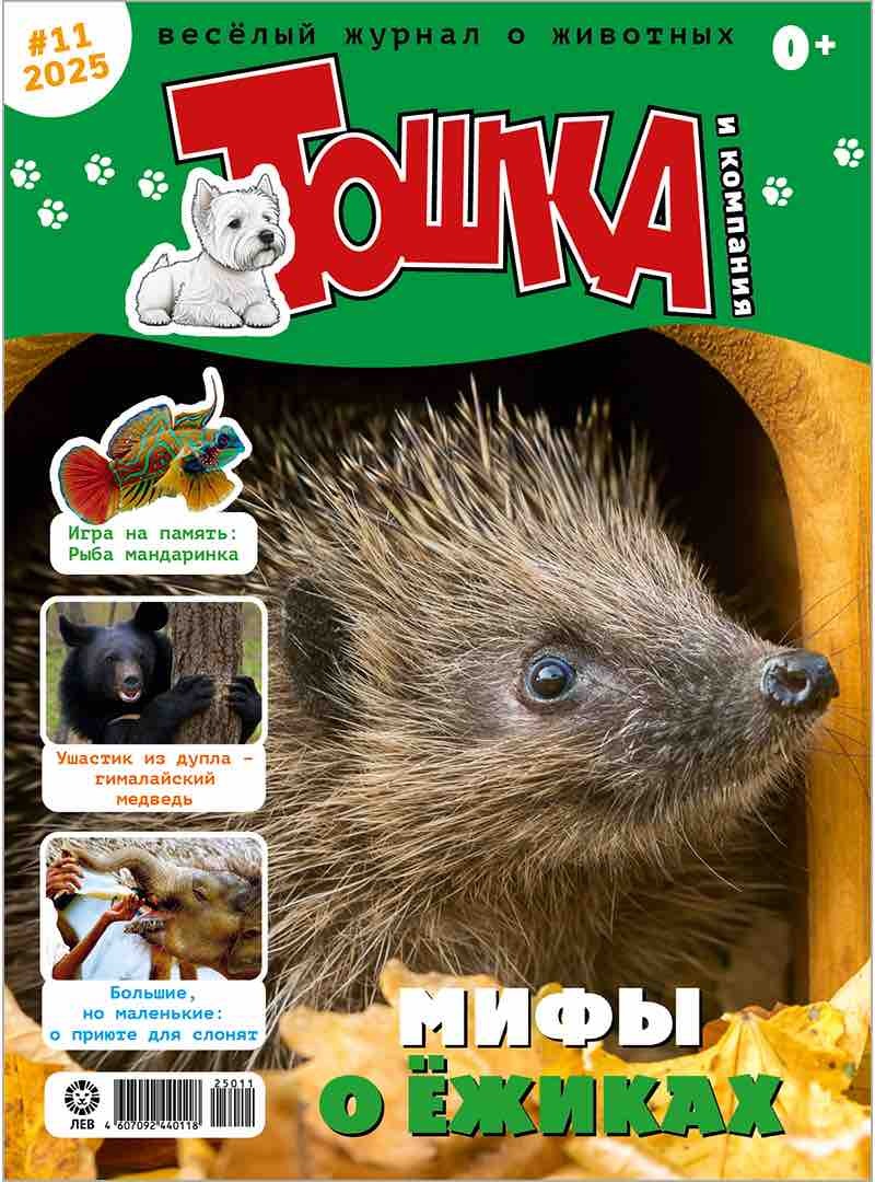 Toshka i kompaniia