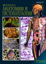 ZHurnal anatomii i gistopatologii